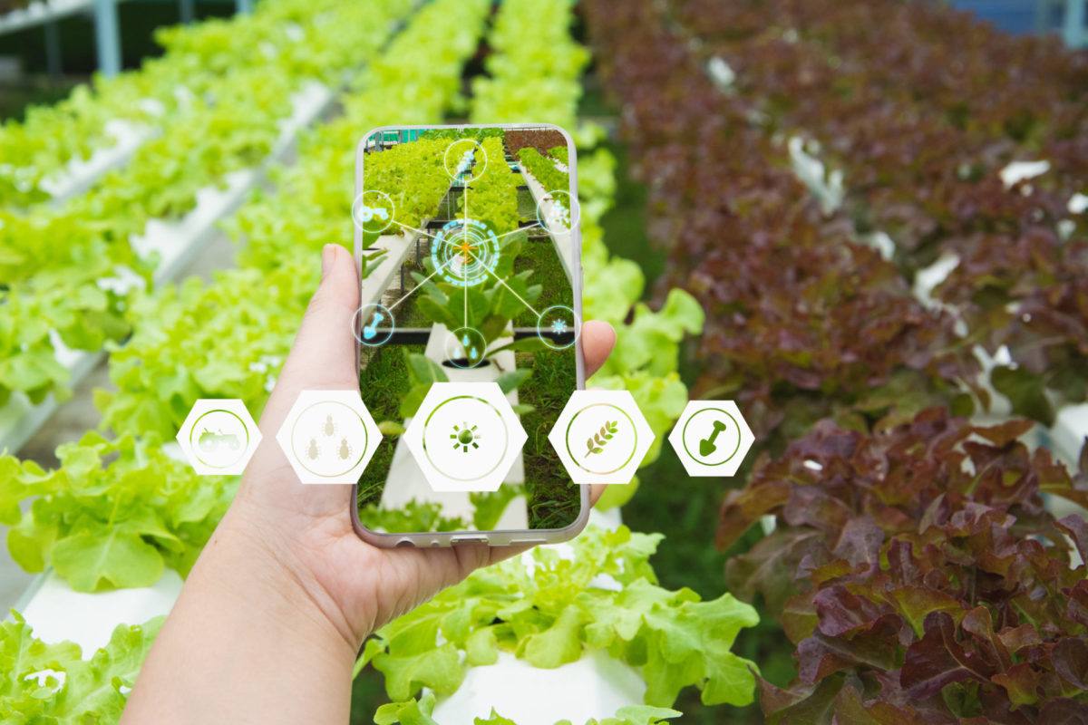 Qu’est-ce que la traçabilité d’un produit alimentaire ?