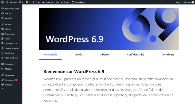 Capture ecran du dashboard WordPress 6.9