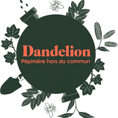 Logo Dandelion